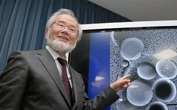 癌症未来可以预防？日本科学家因发现“细胞自噬”获诺奖