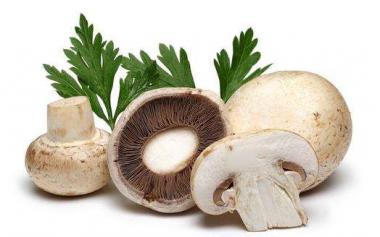 研究称蘑菇可预防老年痴呆，预防老年痴呆应该怎么吃？